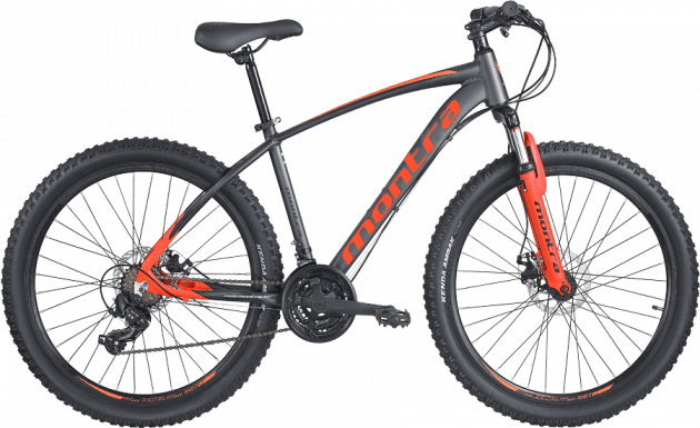Montra Madrock 27.5T & 29T (2021)